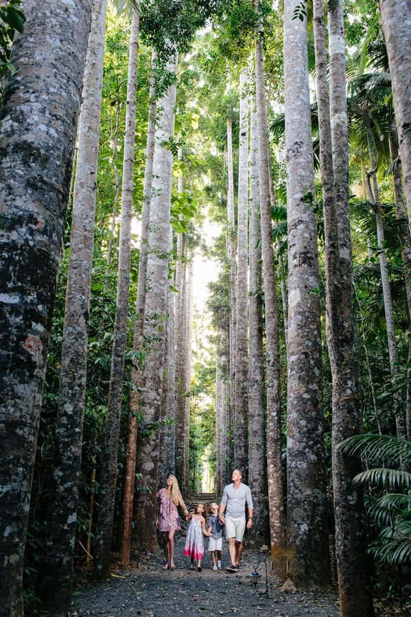 From Cairns: Atherton Tablelands and Paronella Park Day Trip - Why this Cairns day trip covers so much