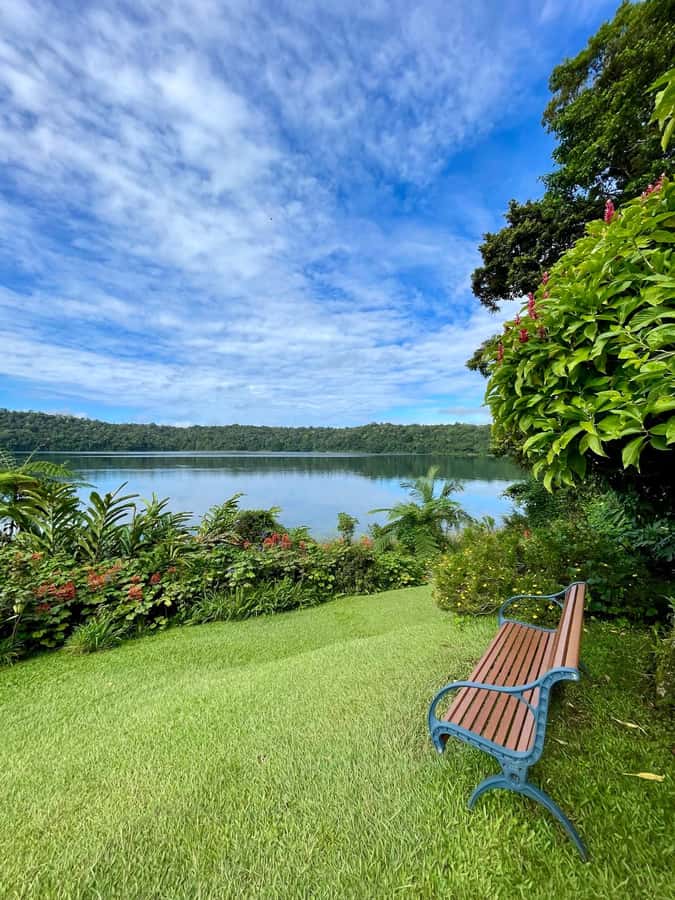 From Cairns: Atherton Tablelands and Paronella Park Day Trip - Lake Barrine and the old kauri pines