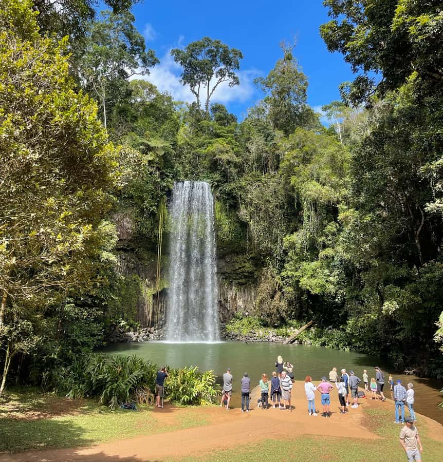 From Cairns: Atherton Tablelands and Paronella Park Day Trip - Malanda and the road to Millaa Millaa Falls