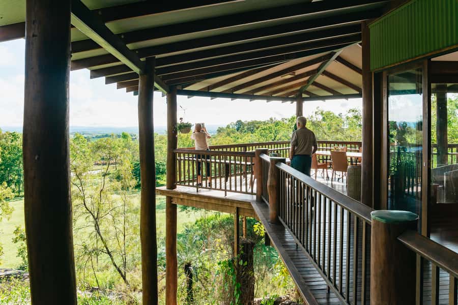 From Cairns: Chillagoe Caves and Outback Full-Day Tour - Granite Gorge and the rock wallabies