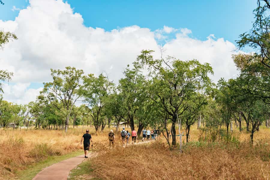 From Cairns: Chillagoe Caves and Outback Full-Day Tour - Skybury Coffee starts the day on a calm note