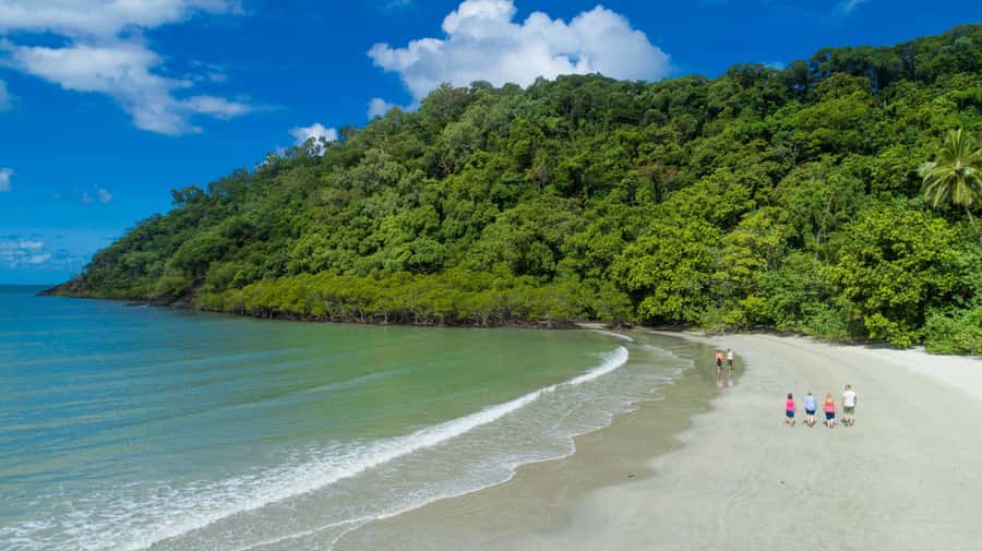 From Cairns: Daintree Rainforest & Cape Tribulation 4WD Tour - What the $162 price really covers
