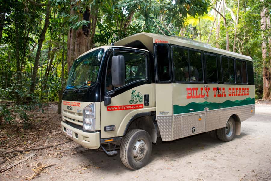 From Cairns: Daintree Rainforest & Cape Tribulation 4WD Tour - Why this Daintree day trip works so well