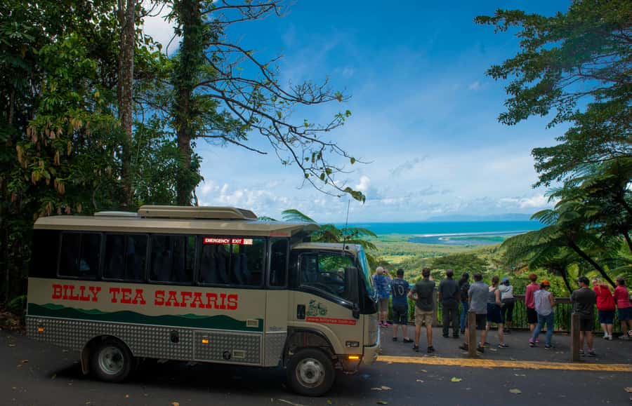From Cairns: Daintree Rainforest & Cape Tribulation 4WD Tour - Crocodiles on the one-hour Daintree River cruise