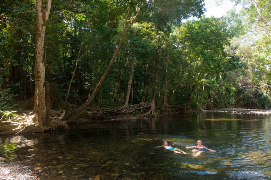 From Cairns: Daintree Rainforest & Cape Tribulation 4WD Tour - Lunch, local choices, and a freshwater swim