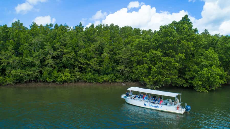 From Cairns: Daintree Rainforest & Cape Tribulation 4WD Tour - Cape Tribulation Beach and its lookout