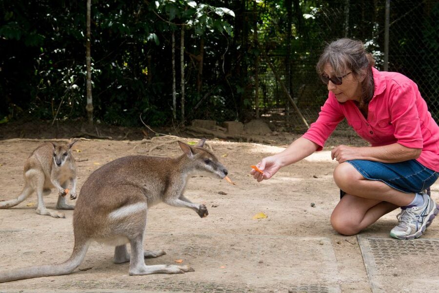 From Cairns: Daintree Rainforest & Cape Tribulation 4WD Tour - The ferry and the long ride home