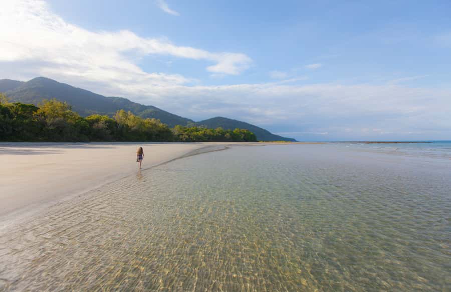 From Cairns: Daintree Wilderness & Cape Tribulation Bus Tour - A full day from Cairns to the Daintree