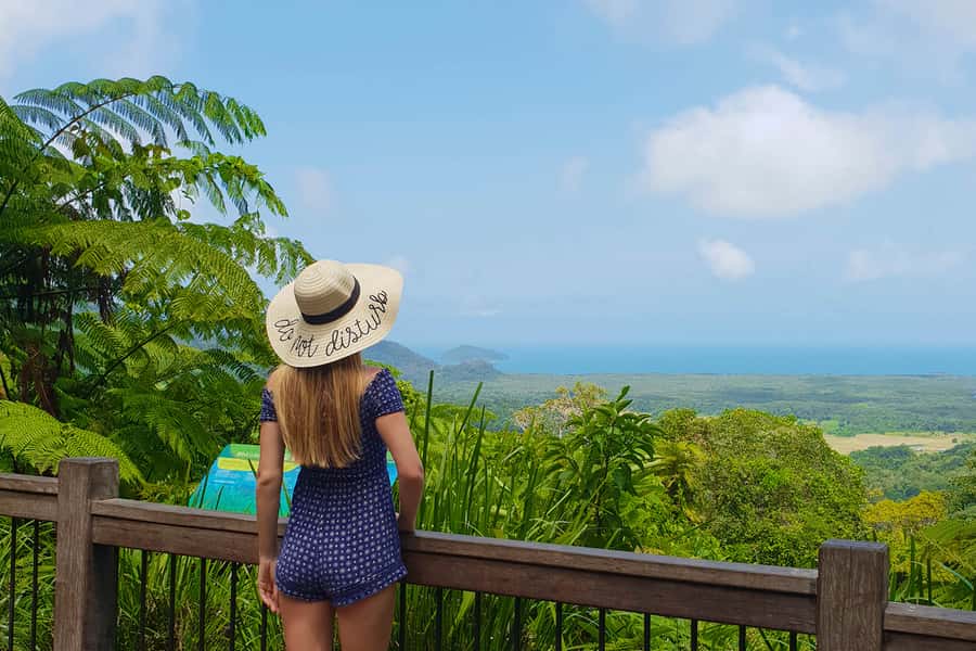 From Cairns: Daintree Wilderness & Cape Tribulation Bus Tour - Wildlife Habitat sets the scene