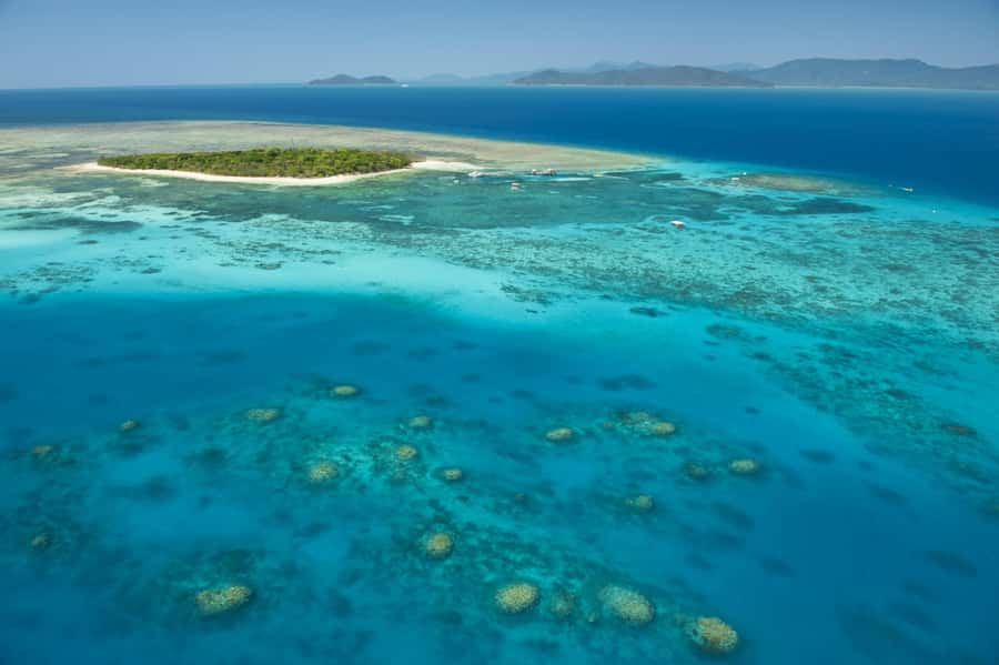 From Cairns: Full-Day Green Island Cruise - Green Island in five useful facts