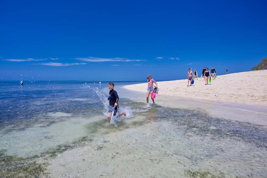 From Cairns: Full-Day Green Island Cruise - How the day suits different kinds of visitors