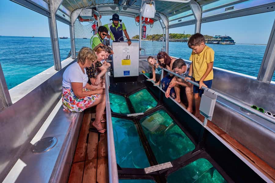From Cairns: Full-Day Green Island Cruise - What the $77 price really buys you