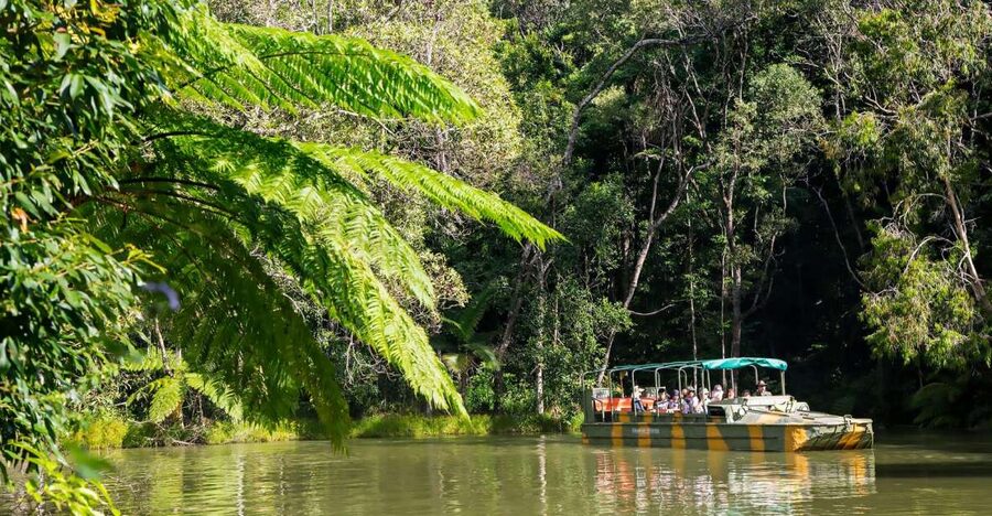 From Cairns: Full-Day Kuranda Army Duck Experience Tour - What $162 includes, and where value changes