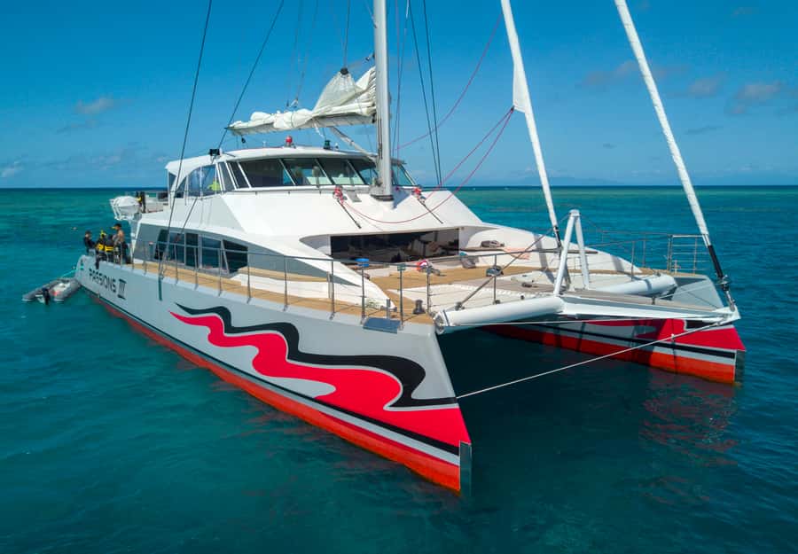 From Cairns: Great Barrier Reef Cruise by Premium Catamaran - Two outer reef sites from Cairns