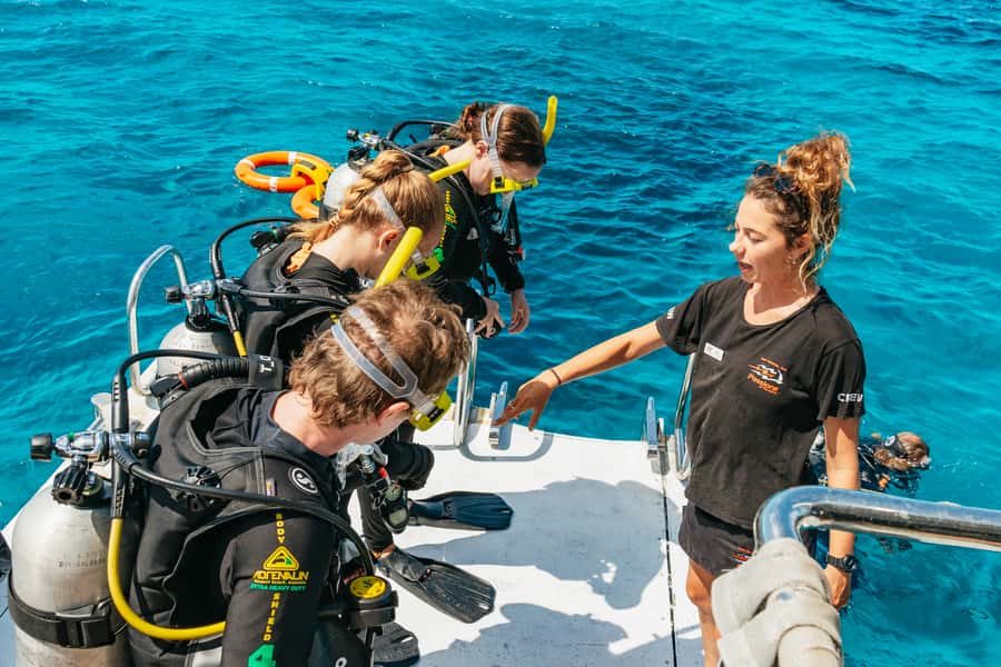 From Cairns: Great Barrier Reef Cruise by Premium Catamaran - Final call: a strong choice for an active reef day