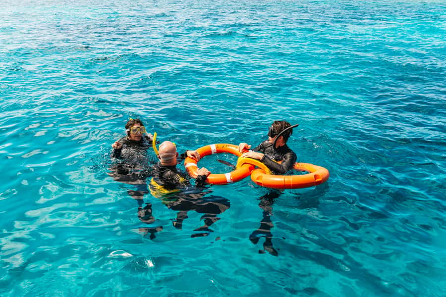 From Cairns: Great Barrier Reef Cruise by Premium Catamaran - Check-in, the crossing, and the first cup of tea