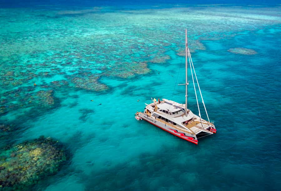 From Cairns: Great Barrier Reef Cruise by Premium Catamaran - Lunch between reef sessions