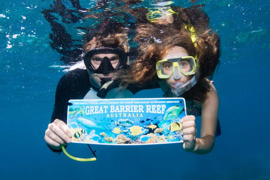 From Cairns: Great Barrier Reef Cruise by Premium Catamaran - Who should book this catamaran trip?