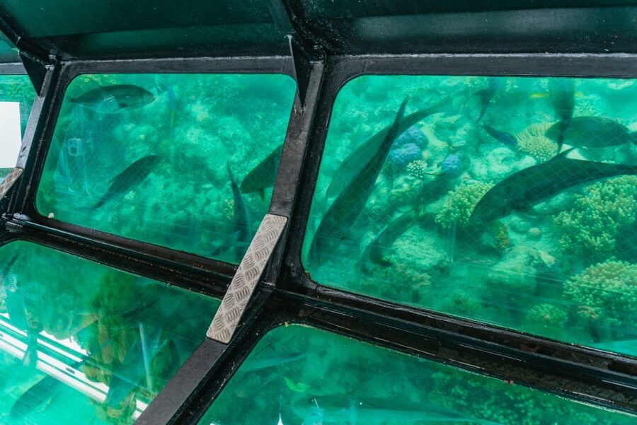 From Cairns: Green Island Full-Day Cruise - The semi-submarine puts you close to the windows
