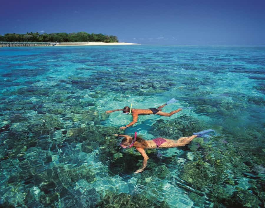 From Cairns: Green Island Half-Day Morning Cruise - Your two hours on Green Island