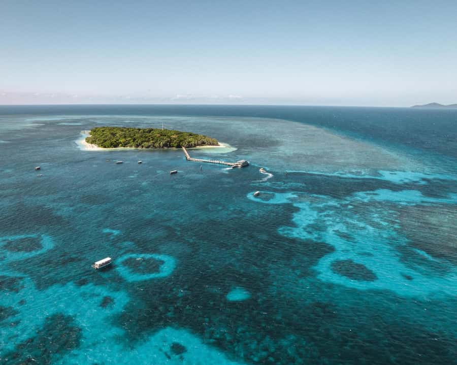 From Cairns: Half-Day Afternoon Cruise to Green Island - Key points to know before booking