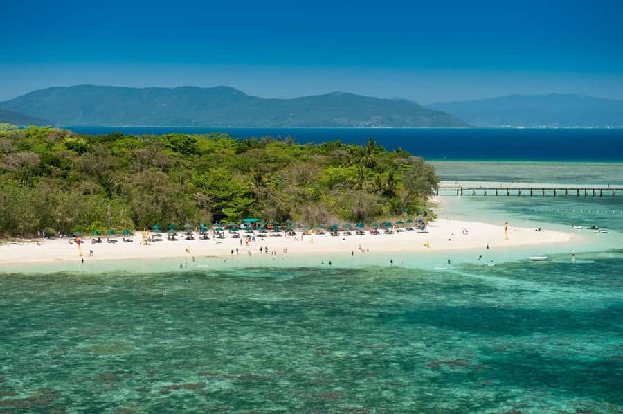 From Cairns: Half-Day Afternoon Cruise to Green Island - Snorkeling with the supplied equipment