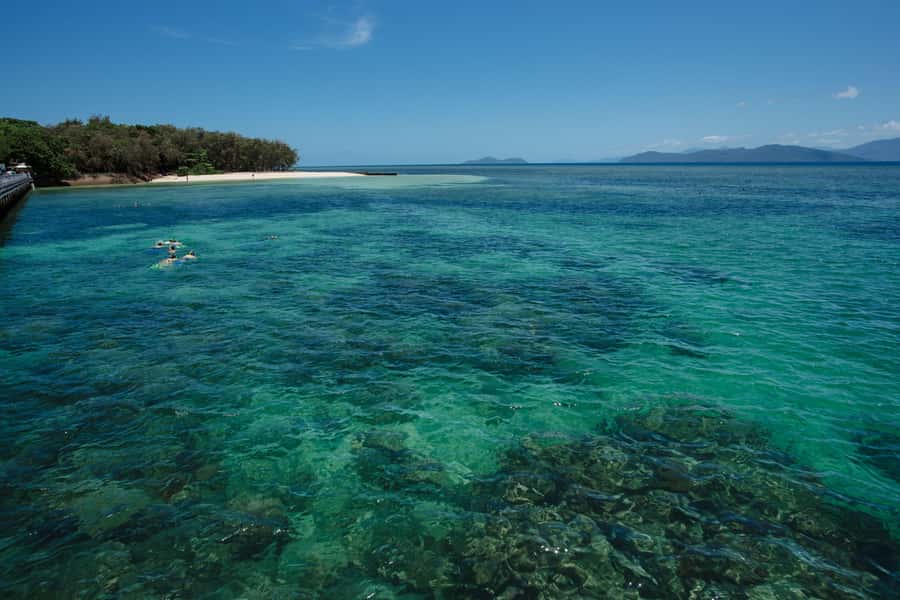 From Cairns: Half-Day Afternoon Cruise to Green Island - Staff, timing, and the feel of the trip
