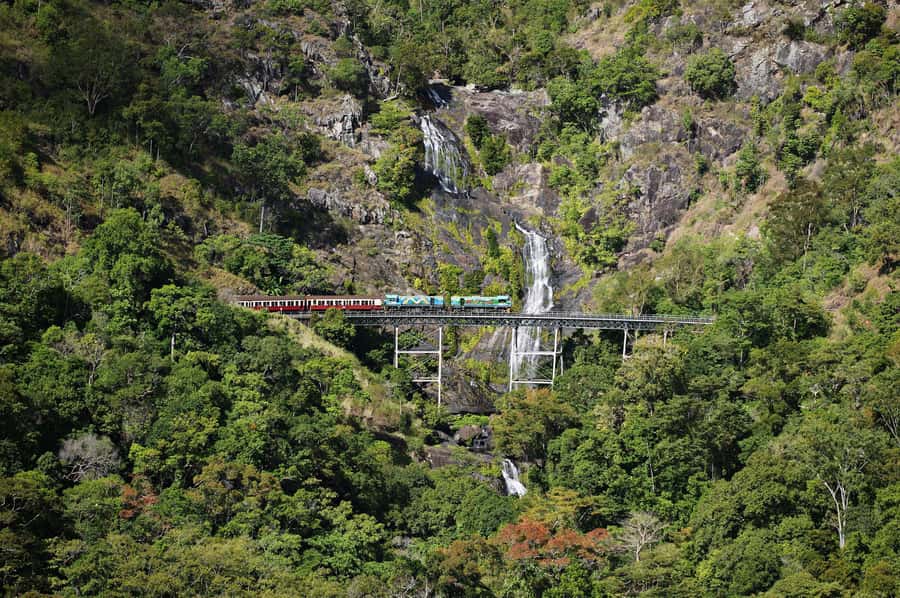 From Cairns: Kuranda Tour with Transfer - Key points at a glance