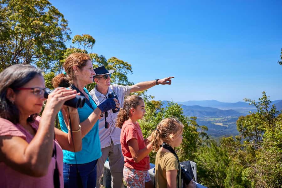 From Cairns: Rainforest & Nocturnal Wildlife Tour - Why nighttime makes this Cairns rainforest tour special