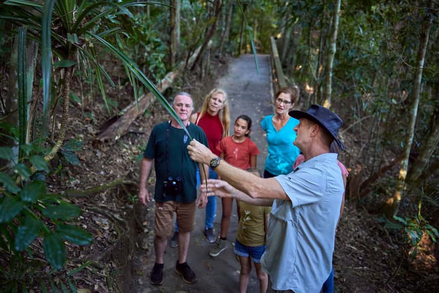 From Cairns: Rainforest & Nocturnal Wildlife Tour - Daylight rainforest walks and small creatures