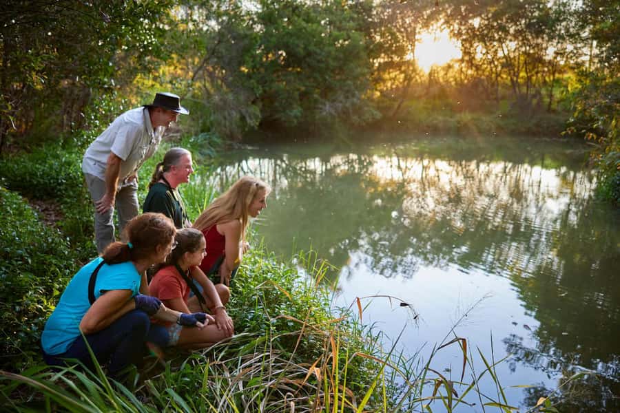 From Cairns: Rainforest & Nocturnal Wildlife Tour - How the guide shapes the experience