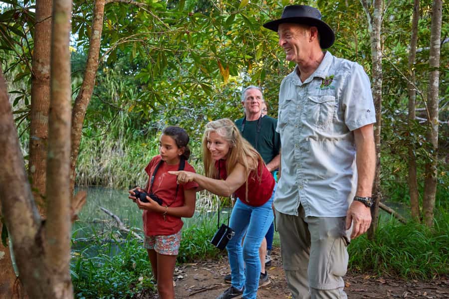 From Cairns: Rainforest & Nocturnal Wildlife Tour - Wallabies, coffee and the first wildlife stop