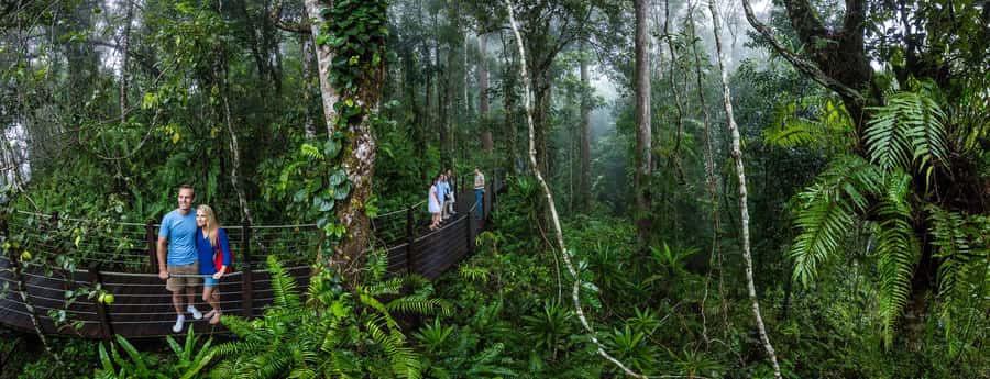 From Cairns: Self-Guided Kuranda Trip with Train and Skyrail - Who will enjoy this trip most