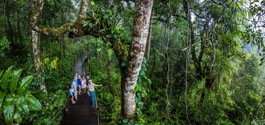 From Cairns: Self-Guided Kuranda Trip with Train and Skyrail - Kuranda gives you a short taste of village life