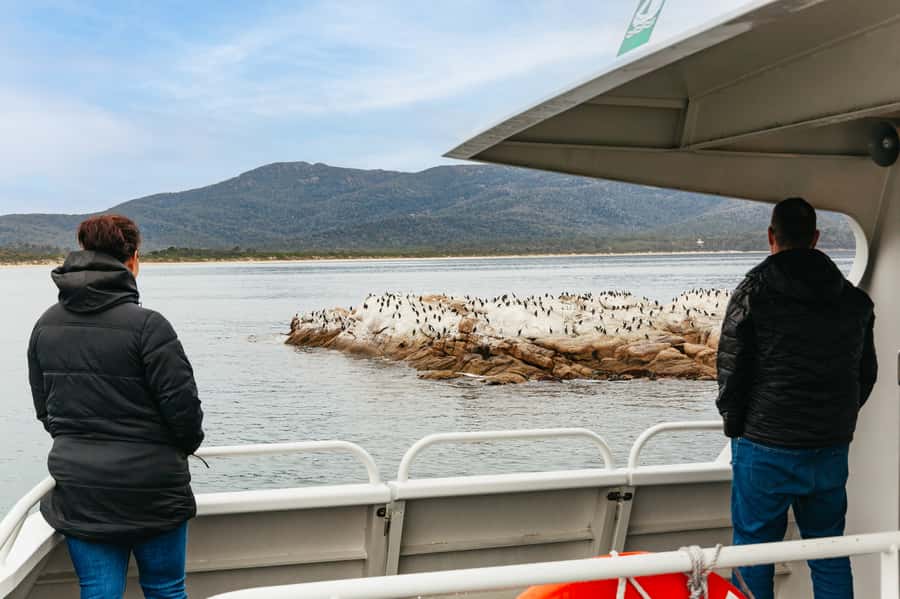 From Coles Bay: Wineglass Bay Cruise with Lunch - Who will enjoy this cruise most?