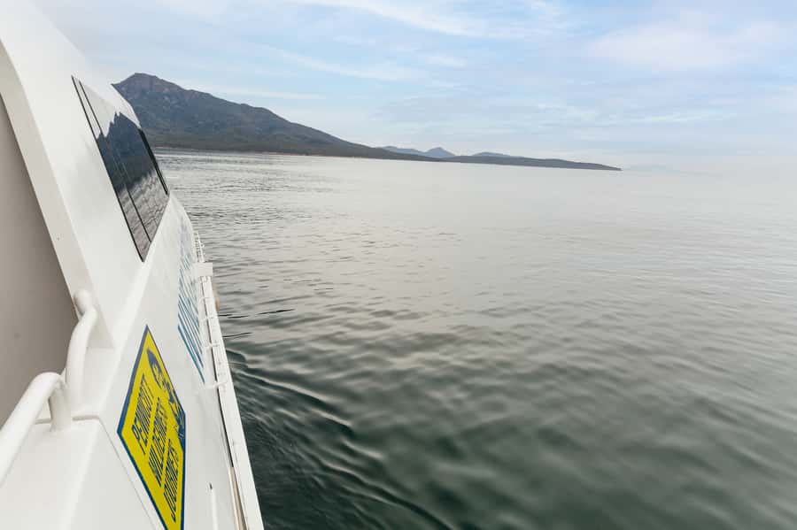From Coles Bay: Wineglass Bay Cruise with Lunch - Wildlife spotting along Freycinet’s coast