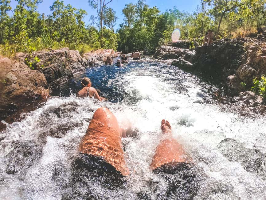 From Darwin: 1-Day Litchfield & Waterfalls Tour - Key points to know before booking