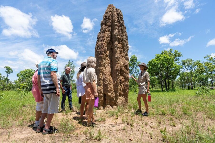 From Darwin: 3-Day Kakadu and Litchfield 4WD Camping Tour - Is $810 good value?