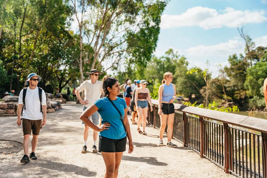 From Darwin: Kakadu Wilderness Escape Day Tour - Corroboree Park Tavern and the food plan
