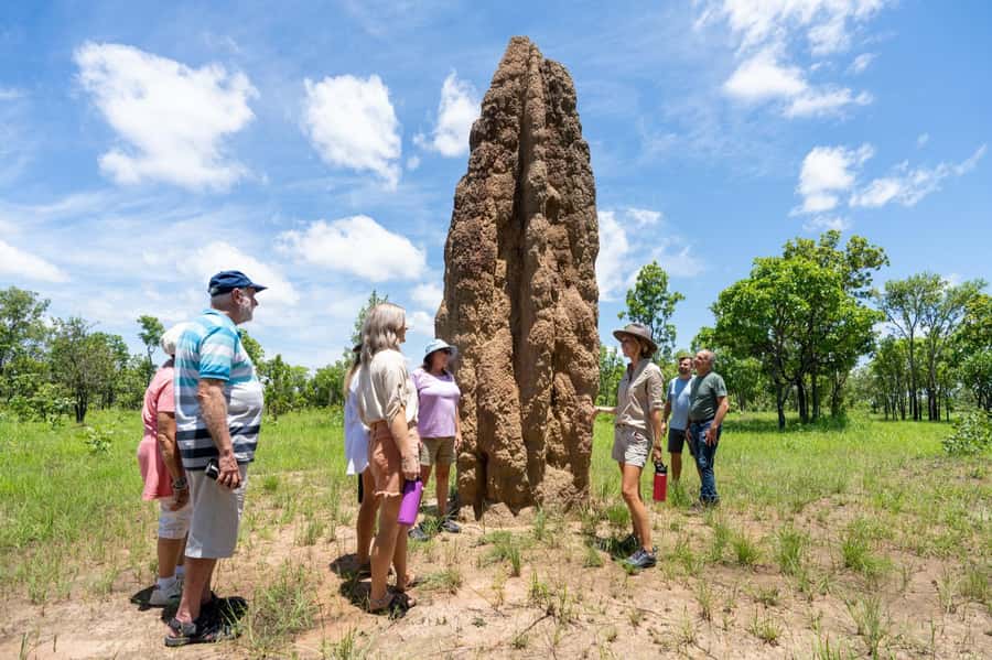 From Darwin: Litchfield National Park Day Trip - Fogg Dam or the Adelaide River crocodile cruise