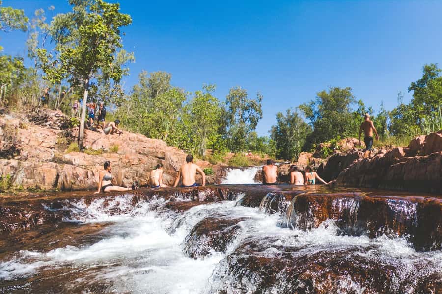 From Darwin: Litchfield National Park Day Trip - Magnetic Termite Mounds and a lesson in survival