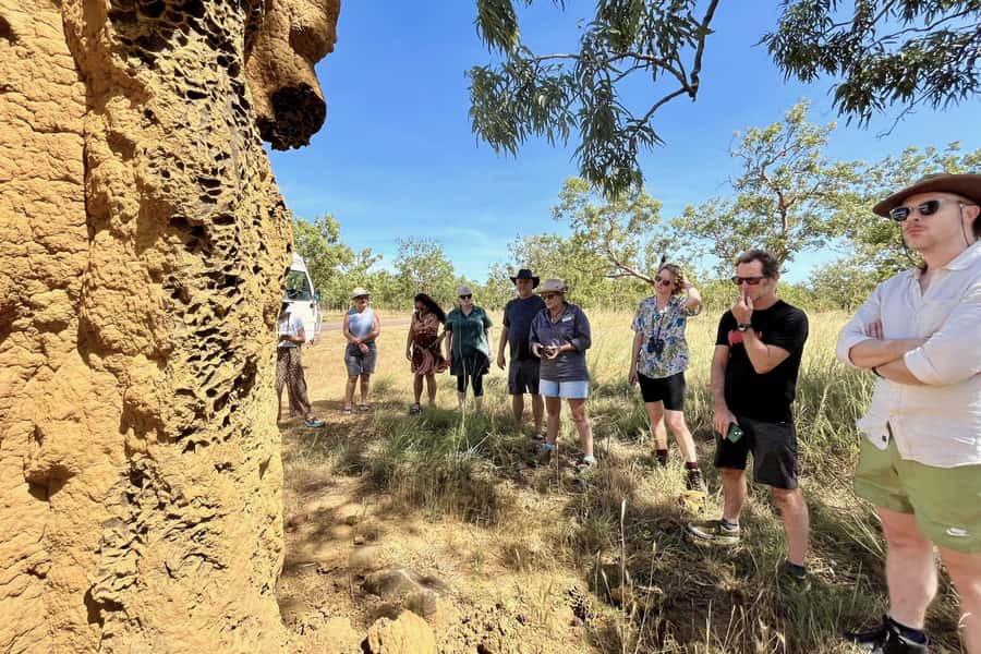 From Darwin: Litchfield National Park Day Trip - Wangi Falls and Tolmer Falls