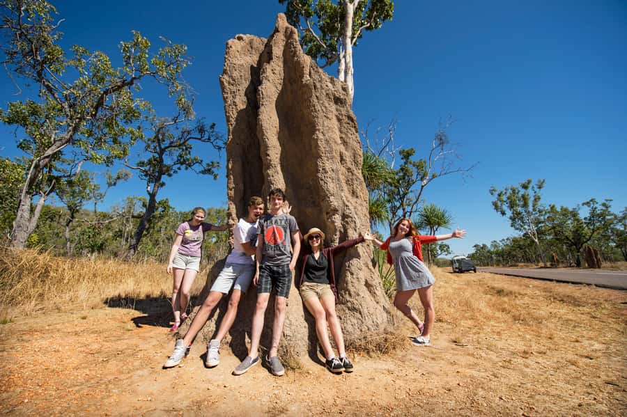 From Darwin: Litchfield National Park Full Day Tour - Waterfalls and plunge pools: the day’s cool reward