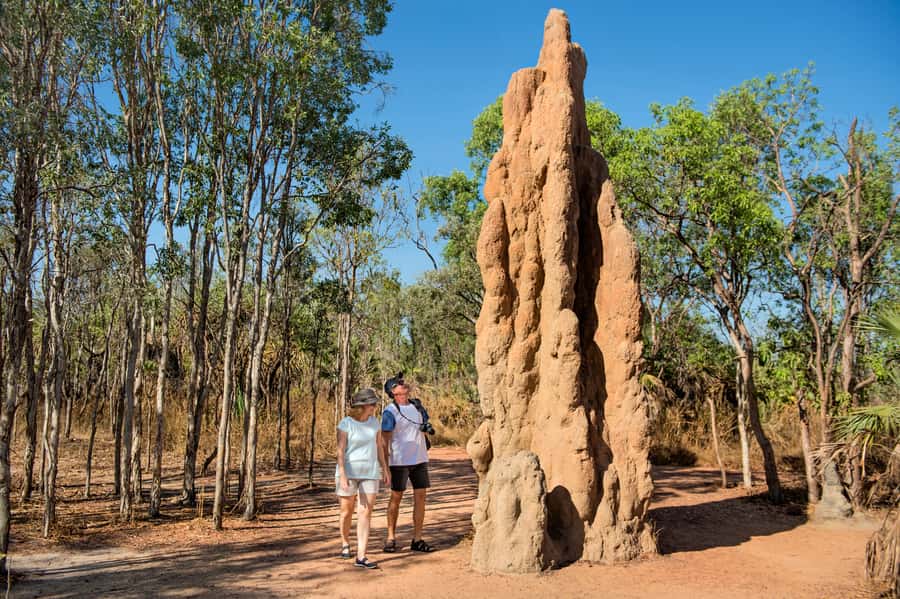 From Darwin: Litchfield National Park Full Day Tour - The Adelaide River option: crocodiles at close range