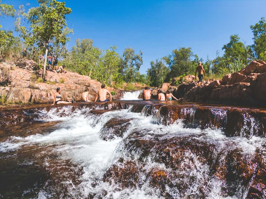 From Darwin: Litchfield National Park Full Day Tour - The magnetic termite mounds: a clever first lesson in the Top End