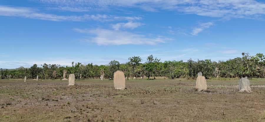 From Darwin: Litchfield National Park Small-Group Day Trip - Is the small-group format worth choosing?