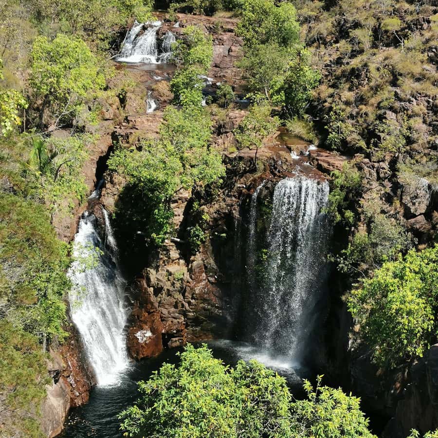 From Darwin: Litchfield National Park Small-Group Day Trip - Florence Falls and the monsoon forest walk