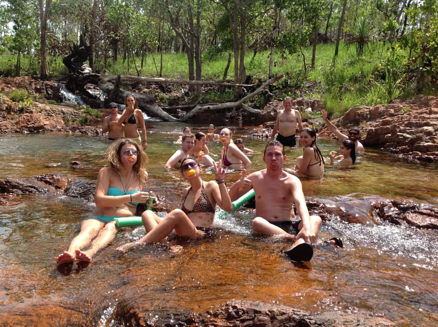 From Darwin: Litchfield Park Tour & Jumping Crocodile Cruise - Key points at a glance