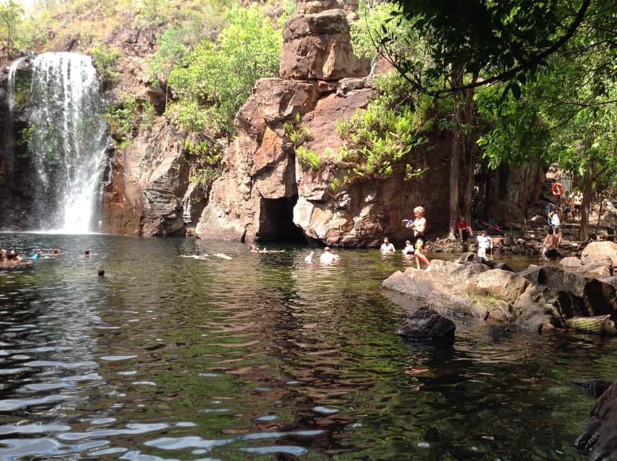 From Darwin: Litchfield Park Tour & Jumping Crocodile Cruise - The Adelaide River crocodile cruise