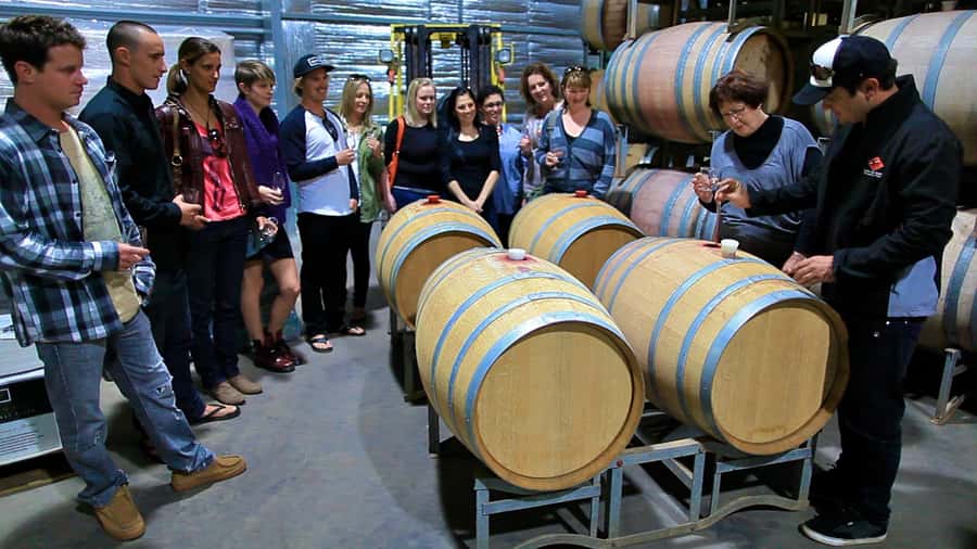From Dunsborough/Busselton: Margaret River Wine Adventure - Five things to know before you book